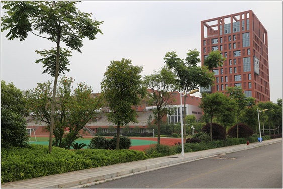 关于成立MK体育·(国际)官方网站60周年校庆活动筹备工作领导小组的通知