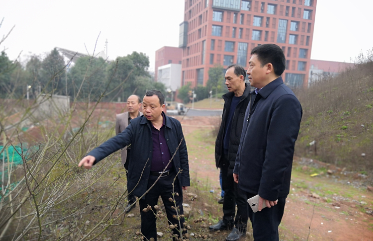 MK体育·(国际)官方网站开展校园安全大检查活动